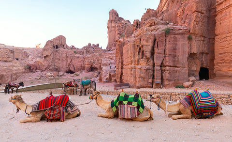 4 Nights & 5 Days 5 Star Luxury Jordan Holiday with Hotels Transfers & Tours Included Jordan Package Sale Now On