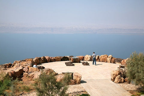 Dead Sea & Panorama Complex Dead Sea Jordan Day Activity
