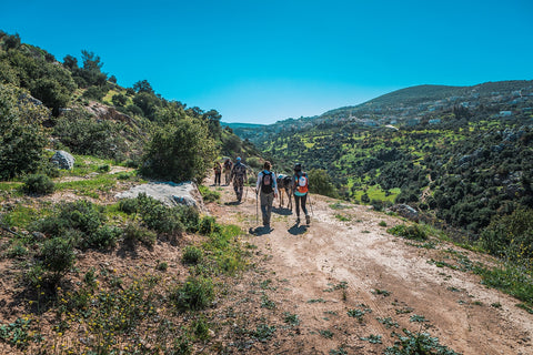 Orjan Trail / Ajloun “Local Community & Hiking experience - Wander Jordan | Travel Agent Jordan 