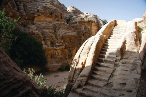 The Red Rose City of Petra  - Wander Jordan | Travel Agent Jordan 