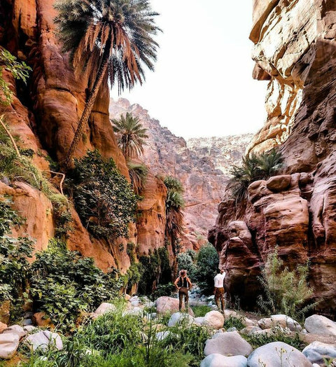 Wandering in Wadi Al Rayyan - Wander Jordan | Travel Agent Jordan 